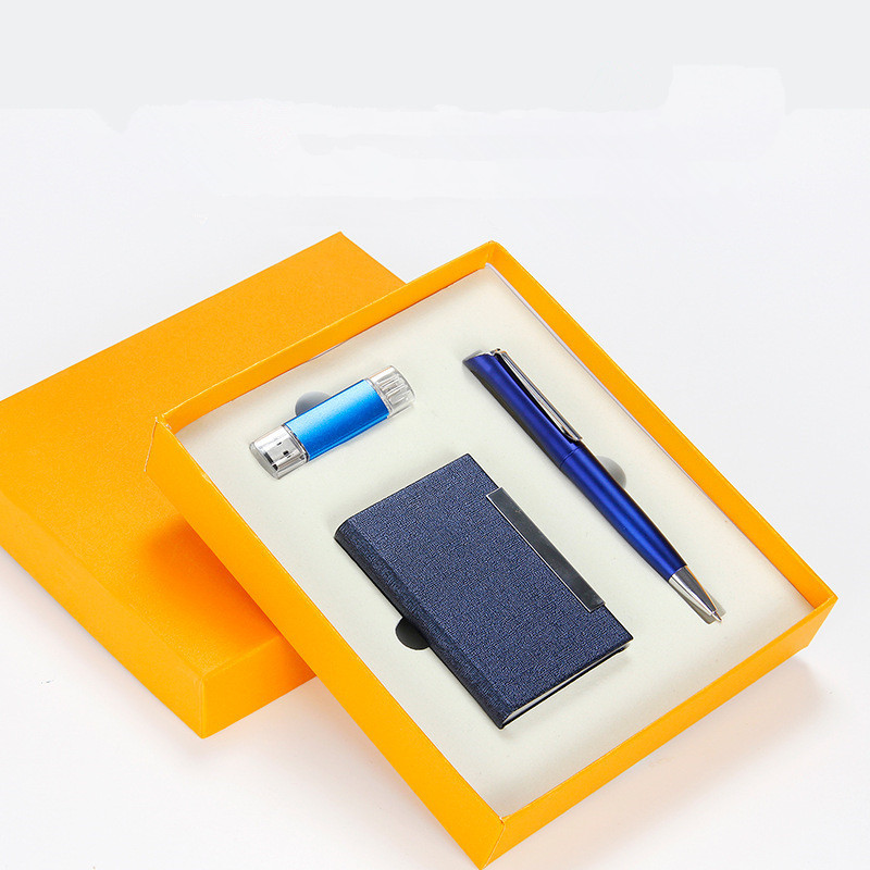 Pen, Card case and 8 GB usb Gift Set